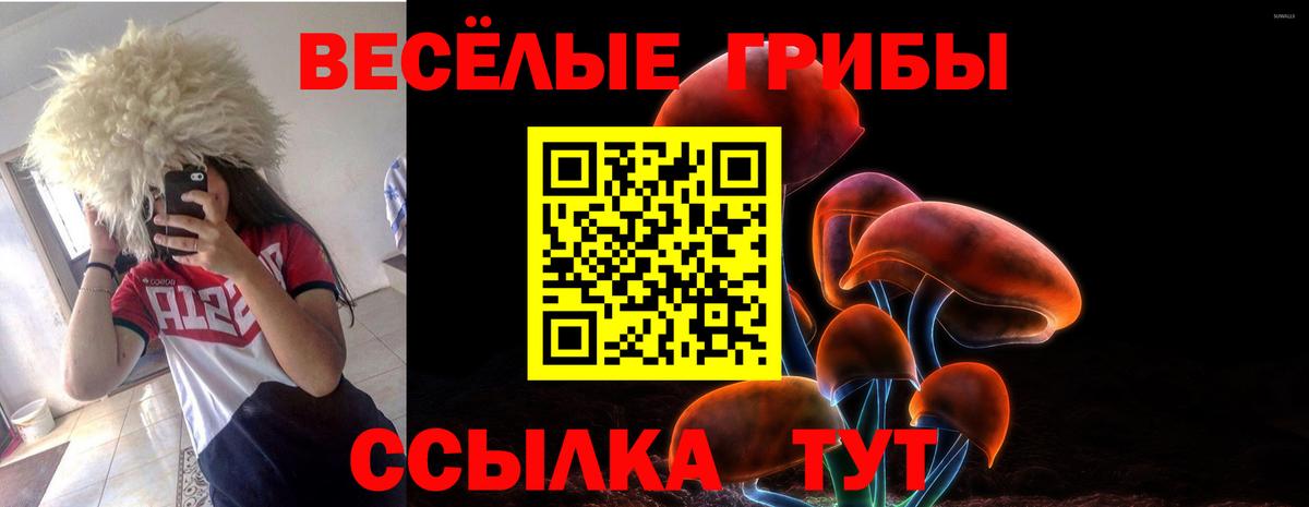 Щёлково  Галлюциногенные грибы Psilocybine cubensis  купить наркотики сайты  Псилоцибиновые грибы MAGIC MUSHROOMS  Вход с VPN 
